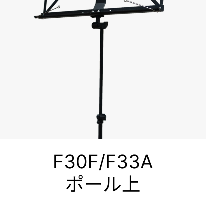 F30F/F33A ポール上