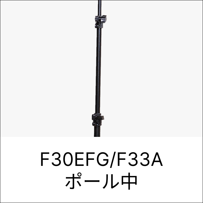 F30EFG/F33A ポール中