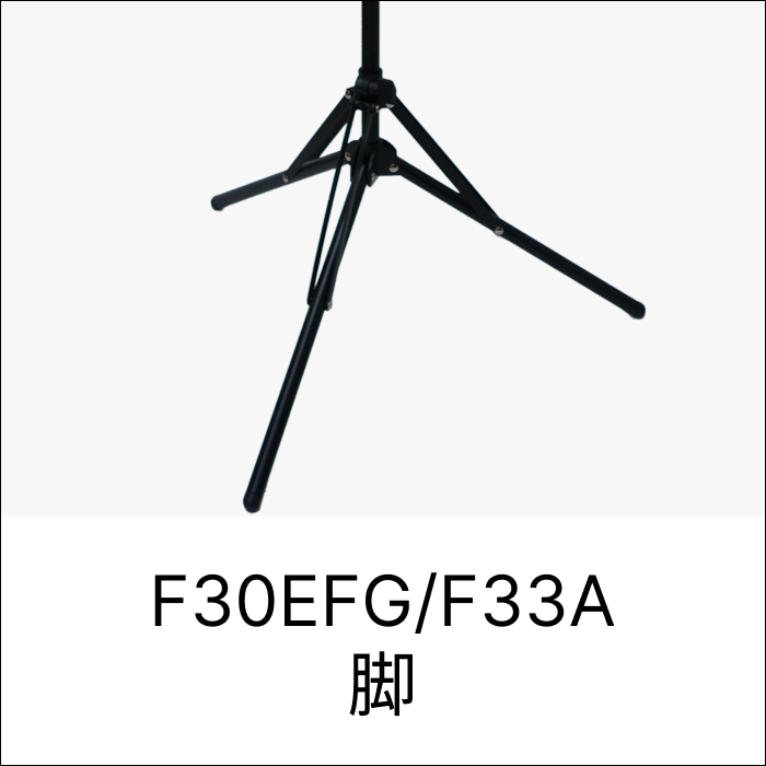 F30EFG/F33A 脚